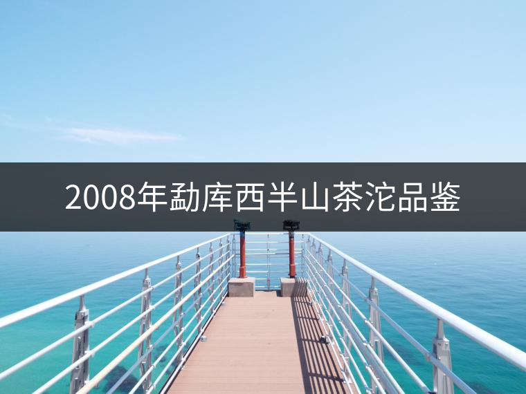 2008年勐庫西半山茶沱品鑒 2008年勐庫西半山茶沱品鑒