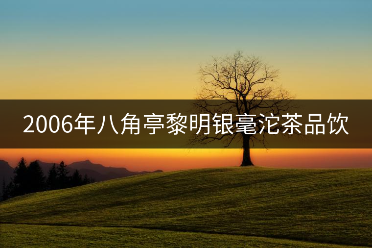 2006年八角亭黎明銀毫沱茶品飲