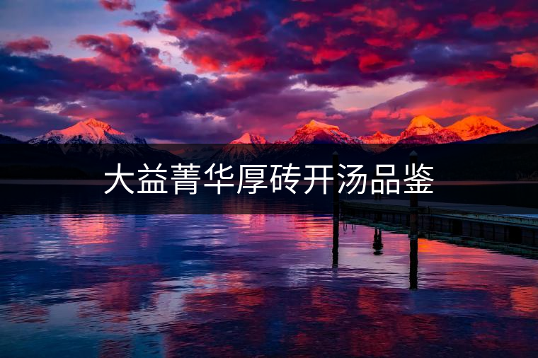 大益菁華厚磚開湯品鑒