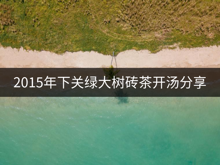 2015年下關綠大樹磚茶開湯分享