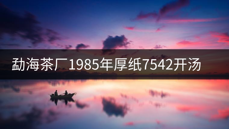 勐海茶廠1985年厚紙7542開湯品鑒 勐海茶廠1985年厚紙7542開湯品鑒