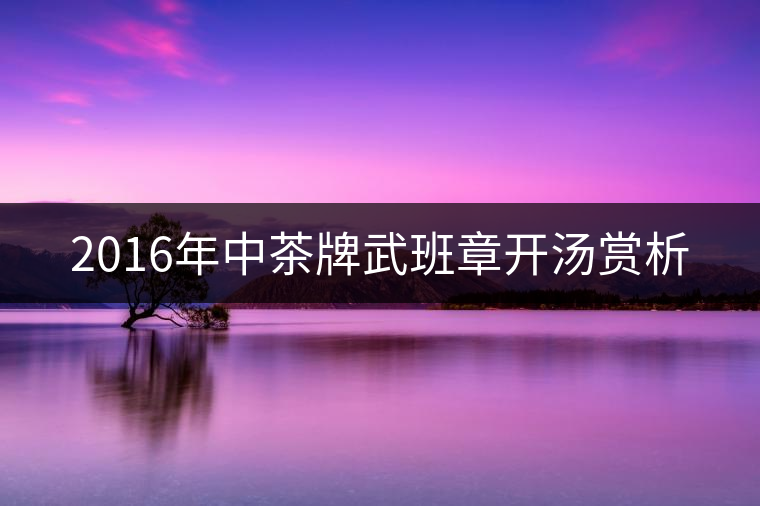 2016年中茶牌武班章開(kāi)湯賞析