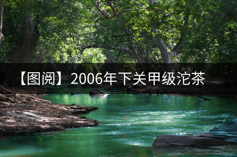 【圖閱】2006年下關(guān)甲級(jí)沱茶開(kāi)湯