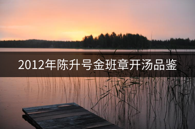 2012年陳升號(hào)金班章開(kāi)湯品鑒 2012年陳升號(hào)金班章開(kāi)湯品鑒
