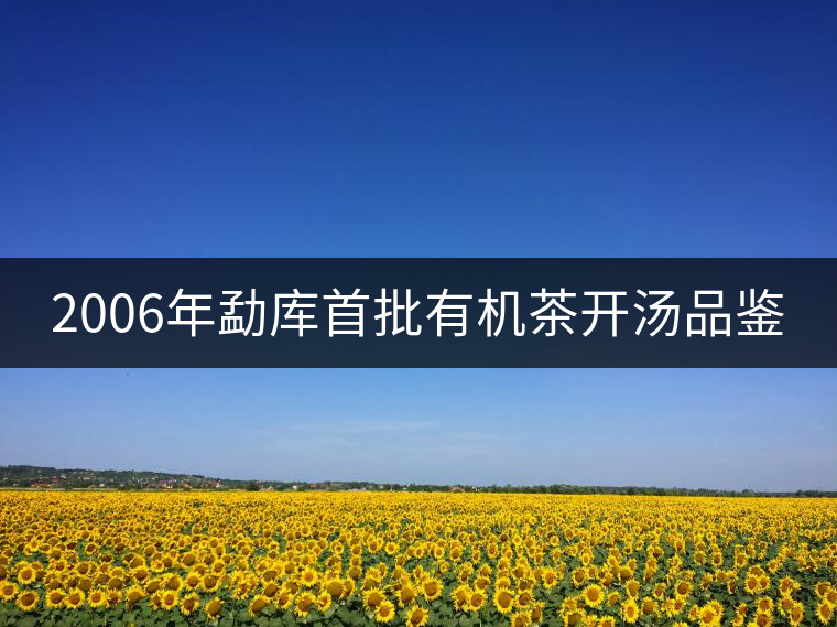 2006年勐庫(kù)首批有機(jī)茶開湯品鑒