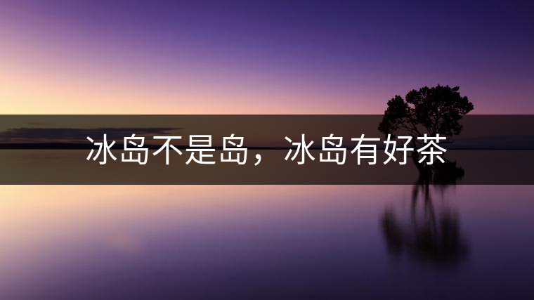 冰島不是島，冰島有好茶