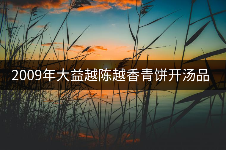2009年大益越陳越香青餅開(kāi)湯品鑒 2009年大益越陳越香青餅開(kāi)湯品鑒