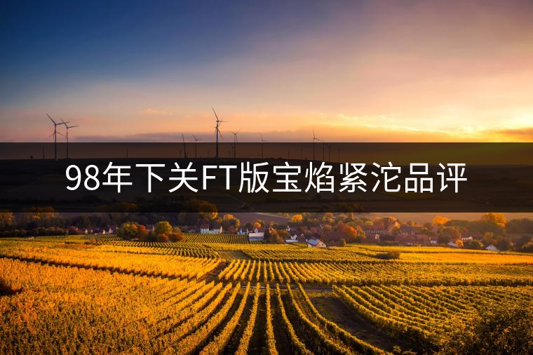 98年下關FT版寶焰緊沱品評 98年下關FT版寶焰緊沱品評