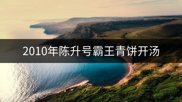 2010年陳升號(hào)霸王青餅開(kāi)湯