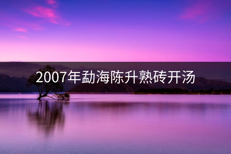 2007年勐海陳升熟磚開(kāi)湯 2007年勐海陳升熟磚開(kāi)湯