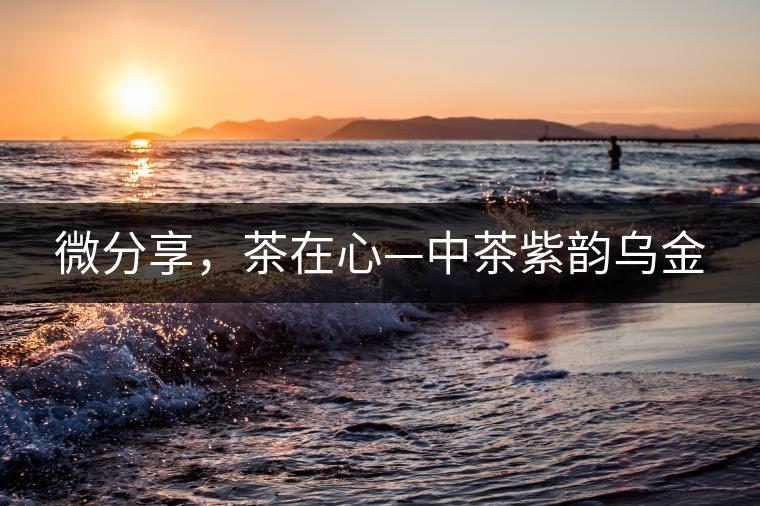 微分享，茶在心—中茶紫韻烏金