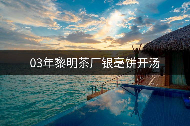 03年黎明茶廠銀毫餅開(kāi)湯 03年黎明茶廠銀毫餅開(kāi)湯