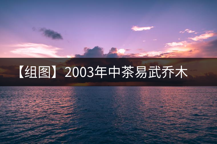 【組圖】2003年中茶易武喬木古茶開(kāi)湯 【組圖】2003年中茶易武喬木古茶開(kāi)湯