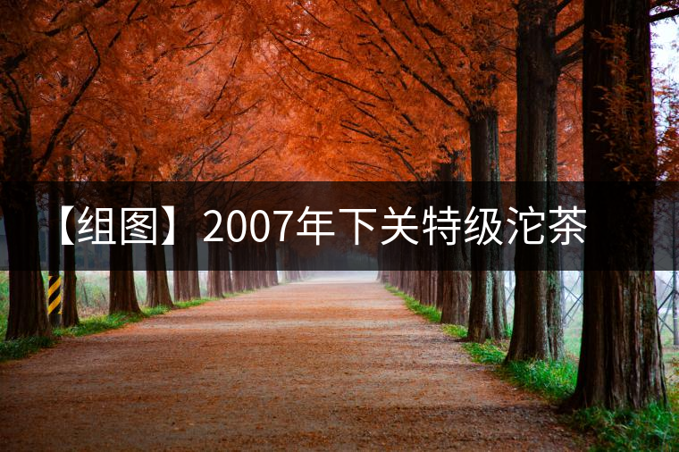 【組圖】2007年下關(guān)特級(jí)沱茶開(kāi)湯 【組圖】2007年下關(guān)特級(jí)沱茶開(kāi)湯