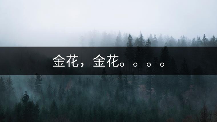 金花，金花。。。。
