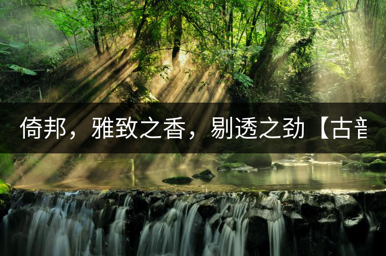 倚邦，雅致之香，剔透之勁【古普十二山品鑒】