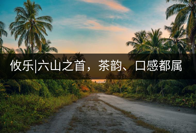 攸樂|六山之首，茶韻、口感都屬古六山一系