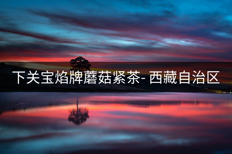 下關(guān)寶焰牌蘑菇緊茶- 西藏自治區(qū)成立40周年紀(jì)念 下關(guān)寶焰牌蘑菇緊茶- 西藏自治區(qū)成立40周年紀(jì)念