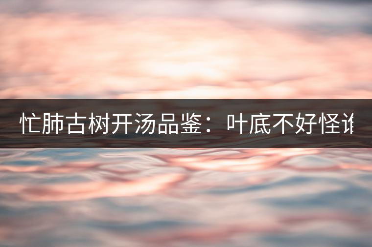 忙肺古樹開湯品鑒：葉底不好怪誰？