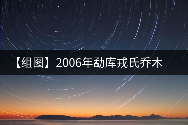 【組圖】2006年勐庫戎氏喬木王開湯 【組圖】2006年勐庫戎氏喬木王開湯