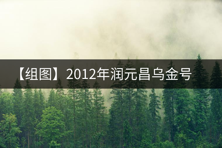 【組圖】2012年潤(rùn)元昌烏金號(hào)普洱生茶開(kāi)湯