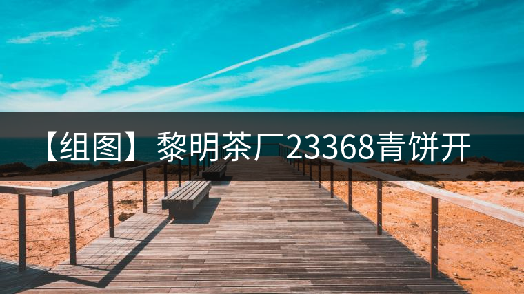 【組圖】黎明茶廠23368青餅開(kāi)湯 【組圖】黎明茶廠23368青餅開(kāi)湯