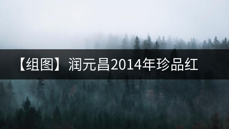 【組圖】潤元昌2014年珍品紅印開湯 【組圖】潤元昌2014年珍品紅印開湯