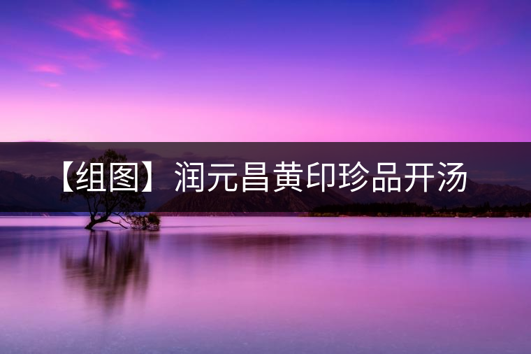 【組圖】潤元昌黃印珍品開湯