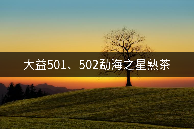 大益501、502勐海之星熟茶