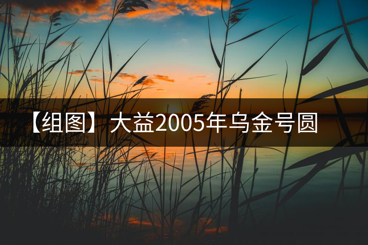 【組圖】大益2005年烏金號(hào)圓茶開湯 【組圖】大益2005年烏金號(hào)圓茶開湯