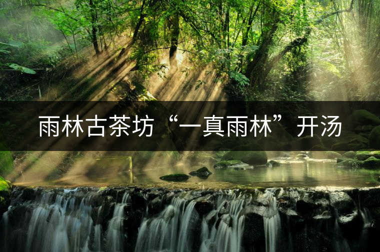 雨林古茶坊“一真雨林”開湯