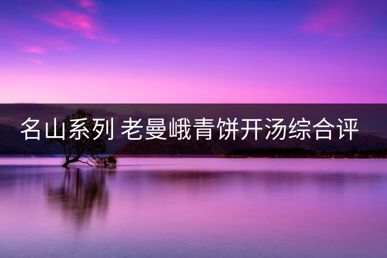 名山系列 老曼峨青餅開湯綜合評(píng)測