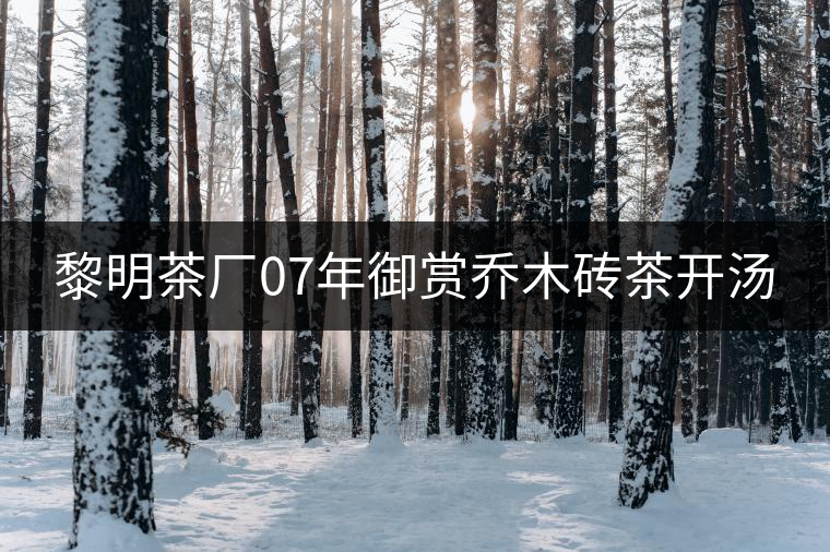 黎明茶廠07年御賞喬木磚茶開(kāi)湯