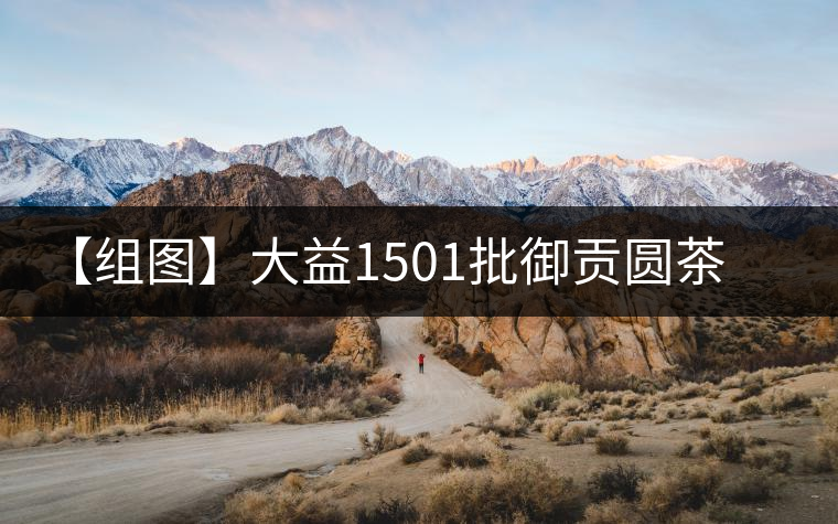 【組圖】大益1501批御貢圓茶開湯 【組圖】大益1501批御貢圓茶開湯