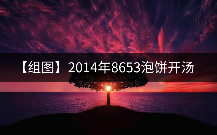 【組圖】2014年8653泡餅開湯