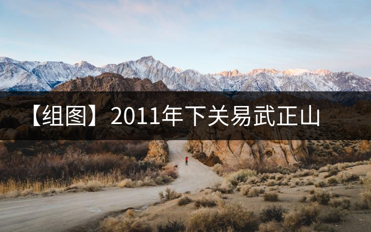 【組圖】2011年下關易武正山老樹沱茶開湯 【組圖】2011年下關易武正山老樹沱茶開湯