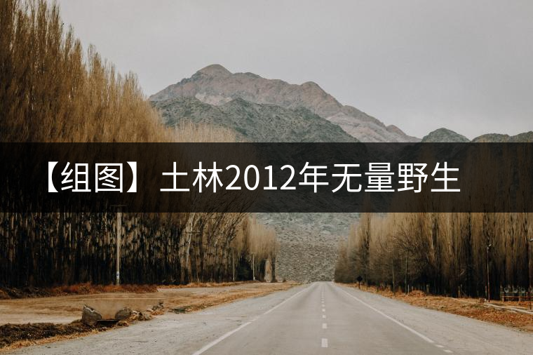 【組圖】土林2012年無(wú)量野生蘑菇緊茶開(kāi)湯 【組圖】土林2012年無(wú)量野生蘑菇緊茶開(kāi)湯