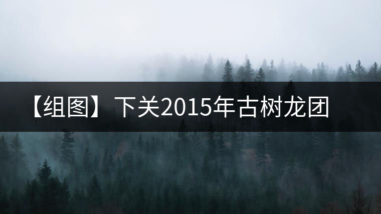 【組圖】下關(guān)2015年古樹龍團茶開湯 【組圖】下關(guān)2015年古樹龍團茶開湯