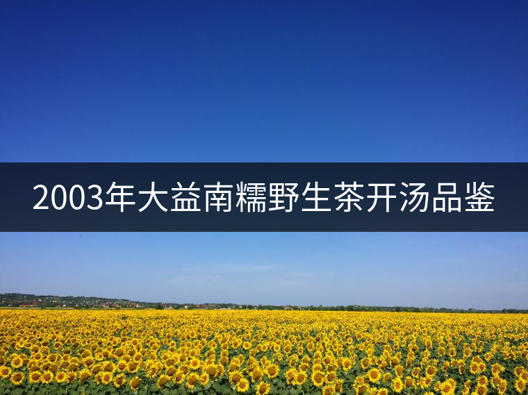 2003年大益南糯野生茶開湯品鑒 2003年大益南糯野生茶開湯品鑒