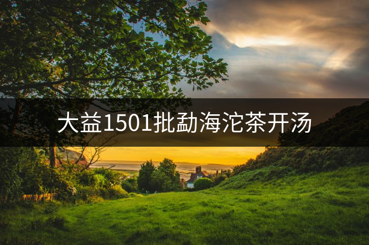 大益1501批勐海沱茶開湯