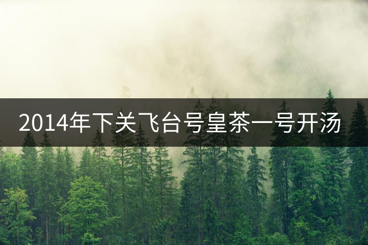 2014年下關(guān)飛臺(tái)號(hào)皇茶一號(hào)開湯品鑒 2014年下關(guān)飛臺(tái)號(hào)皇茶一號(hào)開湯品鑒