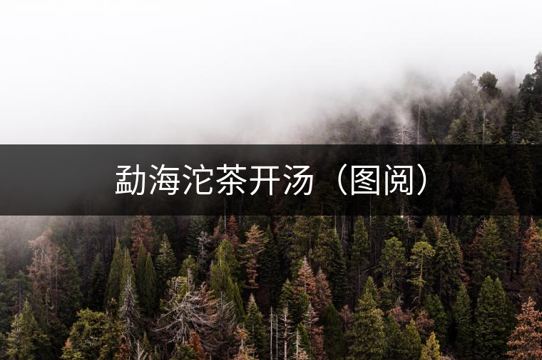 勐海沱茶開湯(圖閱) 勐海沱茶開湯(圖閱)