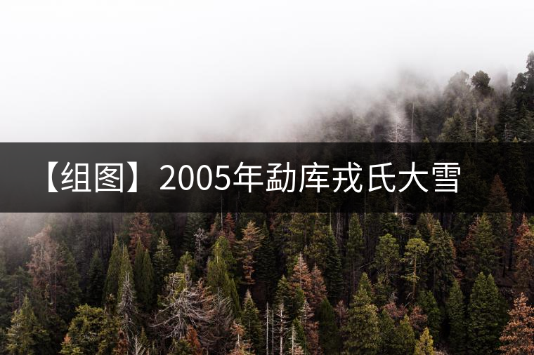 【組圖】2005年勐庫(kù)戎氏大雪山開(kāi)湯 【組圖】2005年勐庫(kù)戎氏大雪山開(kāi)湯