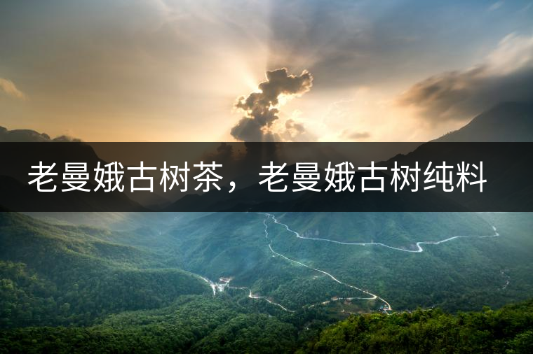 老曼娥古樹茶，老曼娥古樹純料生餅