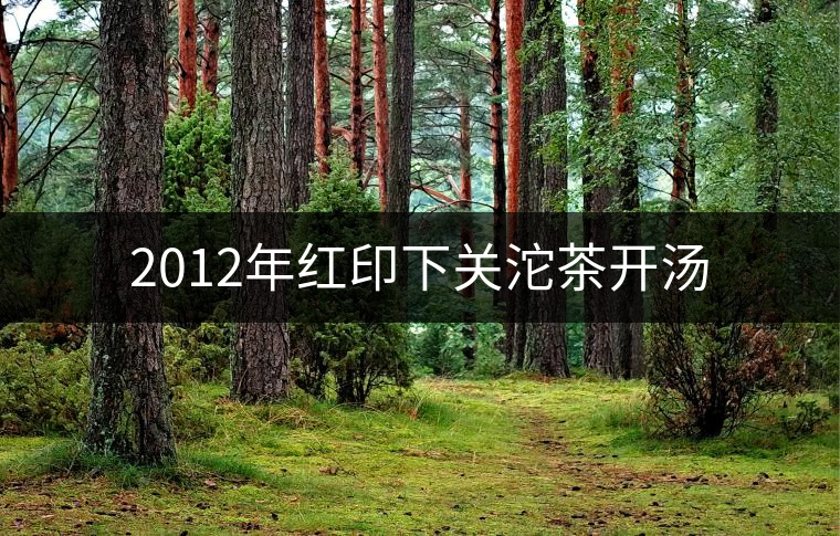 2012年紅印下關(guān)沱茶開(kāi)湯 2012年紅印下關(guān)沱茶開(kāi)湯