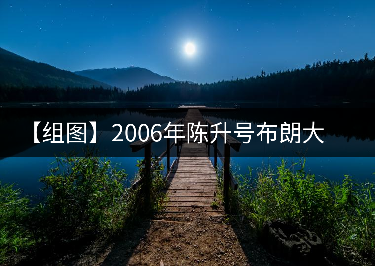 【組圖】2006年陳升號(hào)布朗大樹開(kāi)湯