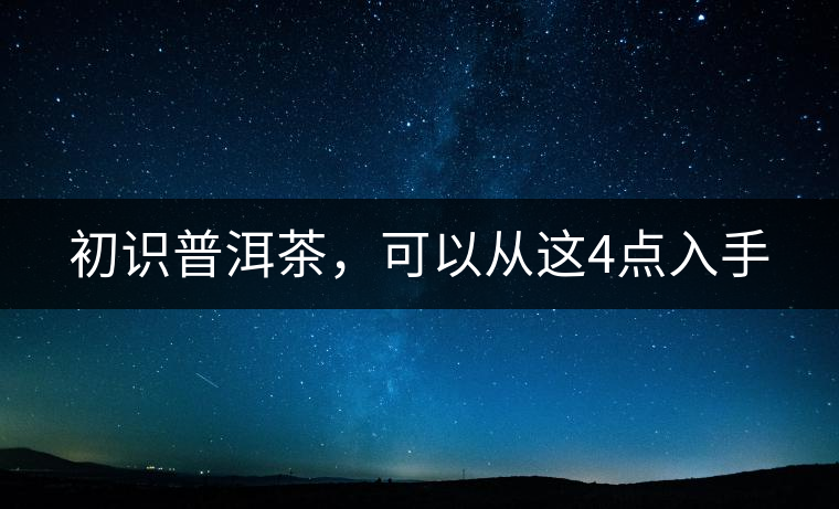 初識普洱茶，可以從這4點入手