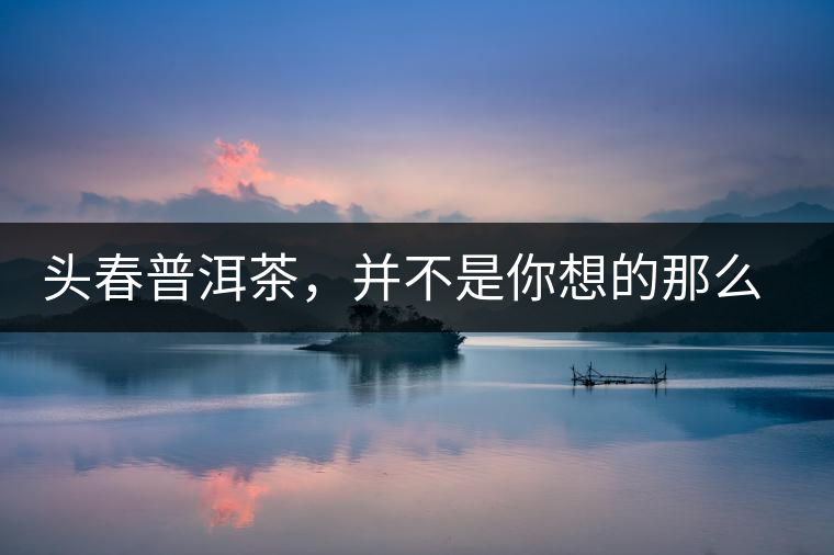 頭春普洱茶，并不是你想的那么好