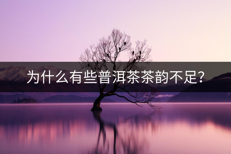 為什么有些普洱茶茶韻不足？