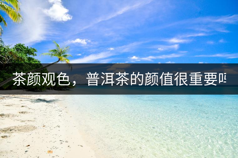 茶顏觀色，普洱茶的顏值很重要嗎？